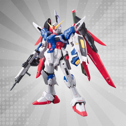 BANDAI Hobby RG 1/144 #11 Destiny Gundam